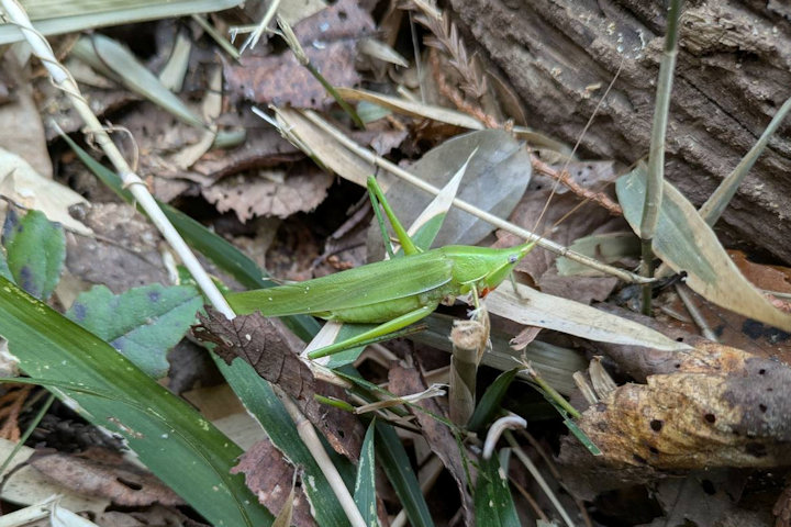 �N�r�L���M�X